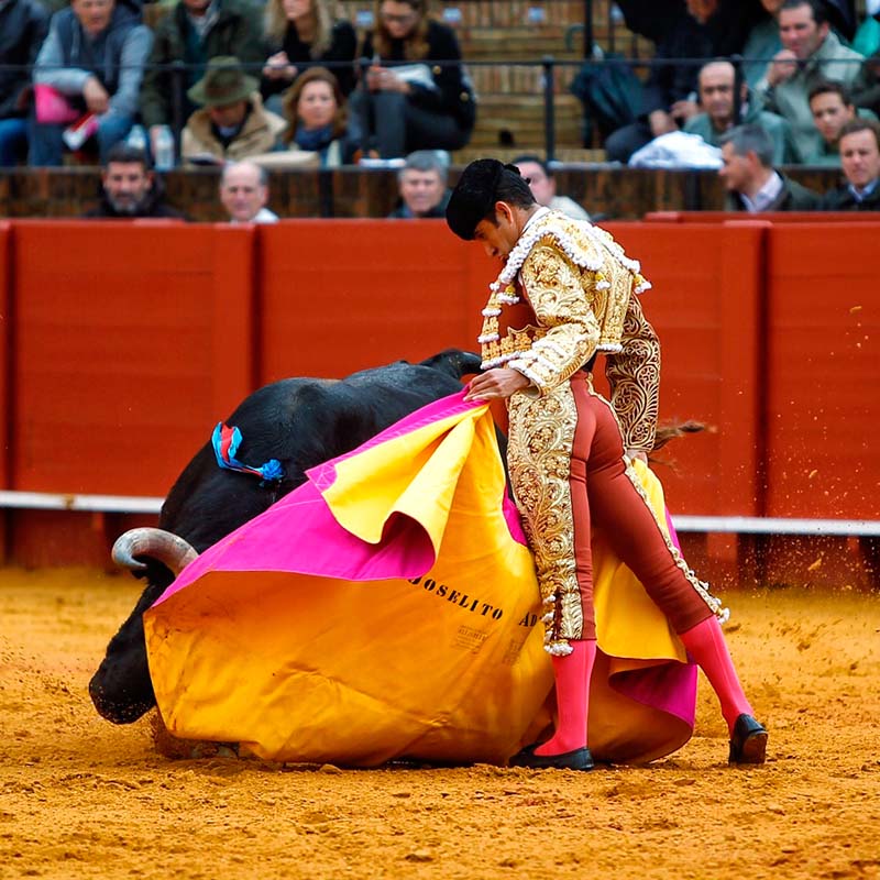 torero en La Maestranza