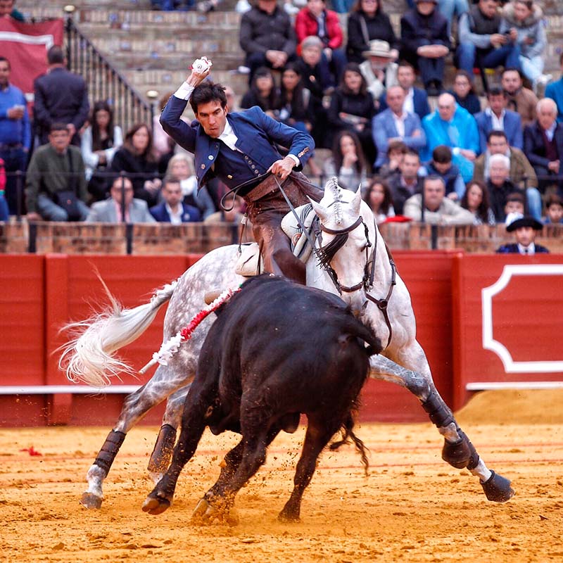 Corrida de Rejones en Sevilla