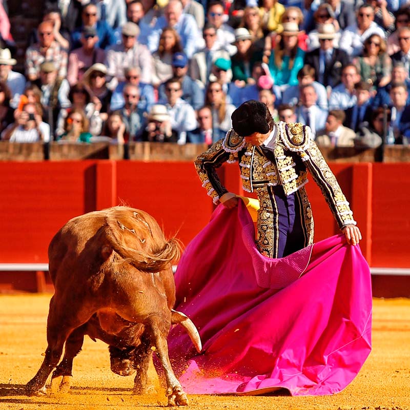 Corrida de toros en Sevilla