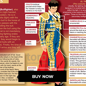 WHAT IS A BULLFIGHT?