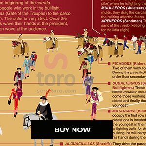 TORO: What is a bullfight?