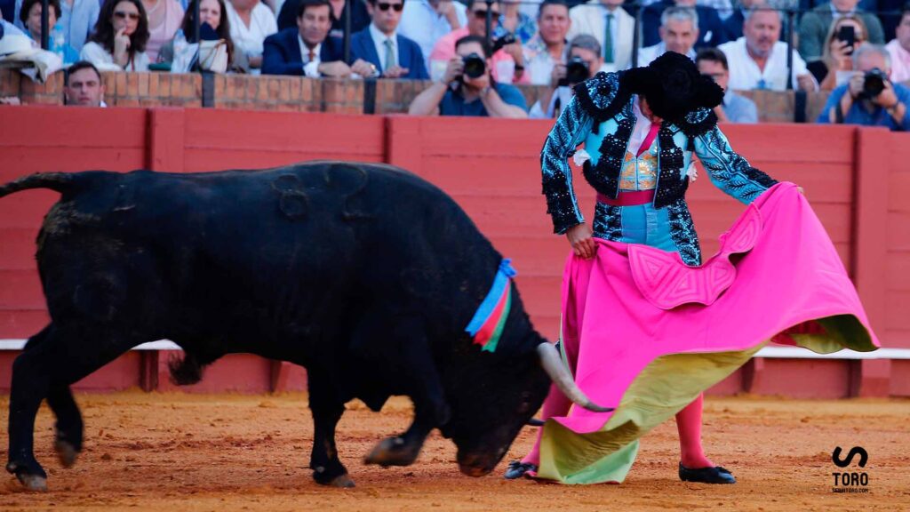 Torero Morante