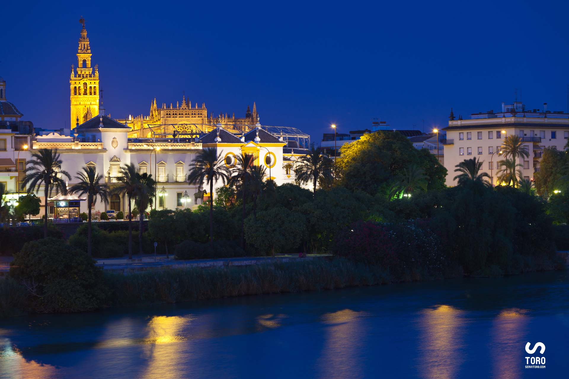 Novilladas nocturnas en Sevilla 2025 - Plaza de toros de La Maestranza