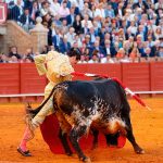 Juan Ortega en La Maestranza de Sevilla | Crónica 7 mayo 2025