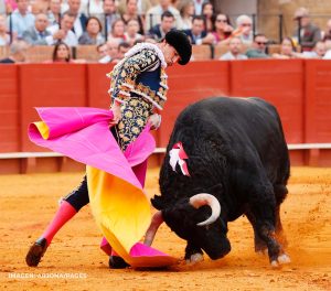 Daniel Luque en La Maestranza