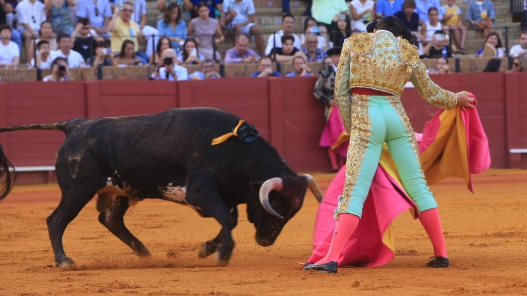 Las novilladas de Sevilla: Otra manera de ver toros en el templo